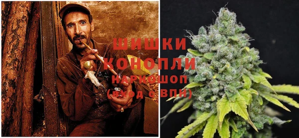 ГАЛЛЮЦИНОГЕННЫЕ ГРИБЫ Покров